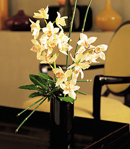  Yozgat iekiler  cam yada mika vazo ierisinde dal orkide