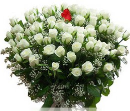  Yozgat internetten çiçek satışı  100 adet beyaz 1 adet kirmizi gül buketi
