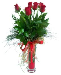 vazo içerisinde 5 kırmızı gül  Yozgat güvenli kaliteli hızlı çiçek 