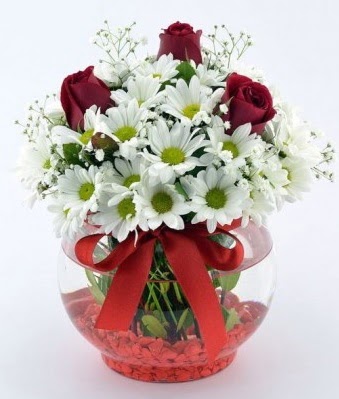 Fanusta 3 Gül ve Papatya  Yozgat internetten çiçek satışı 