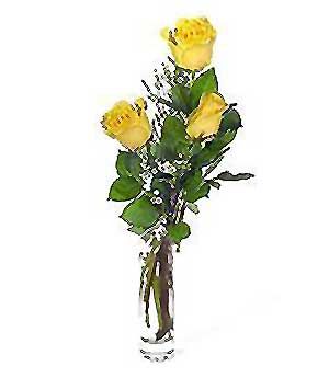  Yozgat internetten çiçek siparişi  3 adet kalite cam yada mika vazo gül