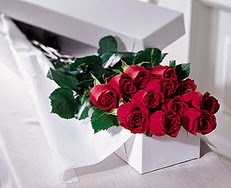  Yozgat çiçek satışı  özel kutuda 12 adet gül