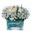 mika ve beyaz gül renkli taslar   Yozgat çiçek satışı 