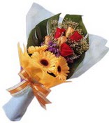 güller ve gerbera çiçekleri   Yozgat çiçek gönderme sitemiz güvenlidir 