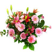 lilyum ve gerbera çiçekleri - çiçek seçimi -  Yozgat çiçek gönderme 
