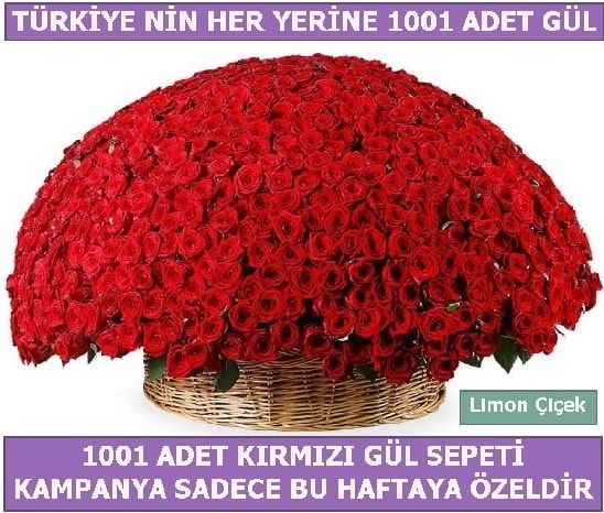 1001 Adet kırmızı gül Bu haftaya özel  Yozgat İnternetten çiçek siparişi 